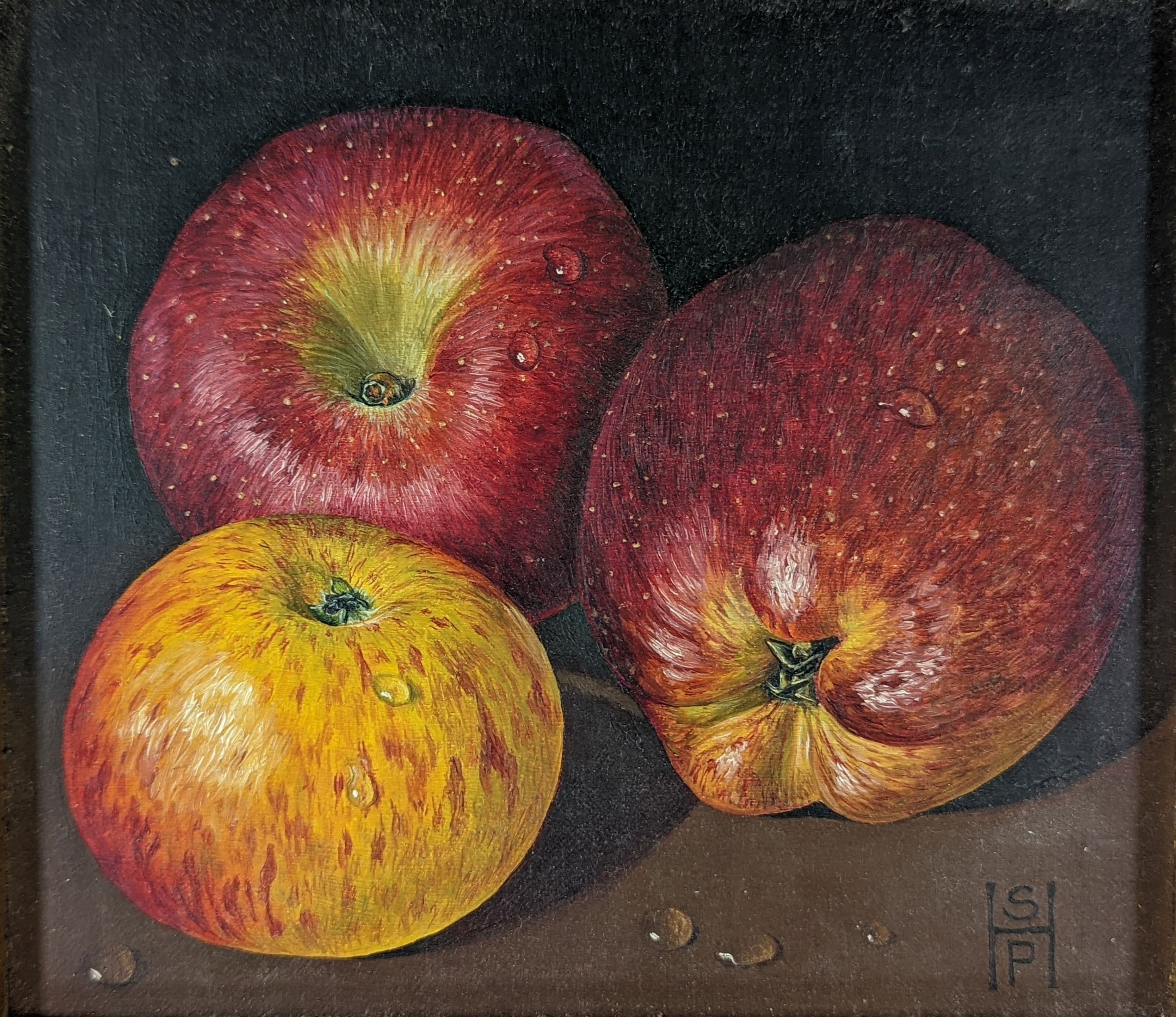 Susan Hearson, oil on board, Study of apples, monogrammed, 15 x 17cm